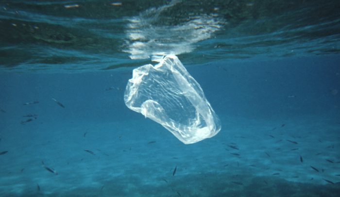 Examining the effects of single-use plastic