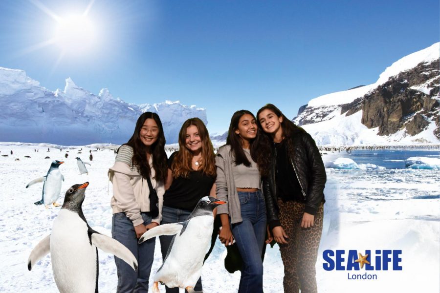 Amber Auh (21), Solenne Jackson (21), Helena Hansen (21), and Amelia Learner (21) (left to right) pose with the animated backdrop at Sea Life Centre London Aquarium. Theyre on the alternative called No Substitute for Water that went to see the aquarium in preparation for their trip in March.