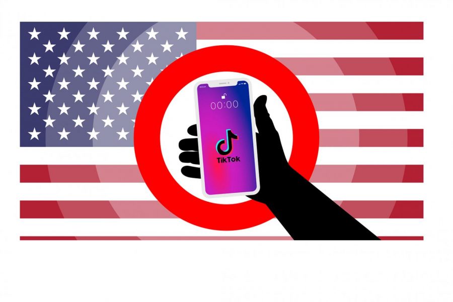 TikTok%2C+a+Chinese-owned+company%2C+has+recently+been+under+fire+due+to+its+collection+of+its+user%E2%80%99s+data.+The+social+media+app+is+used+to+post+60-second+videos+of+dances+and+skits+with+specific+%E2%80%9Csounds%E2%80%9D+in+the+background.