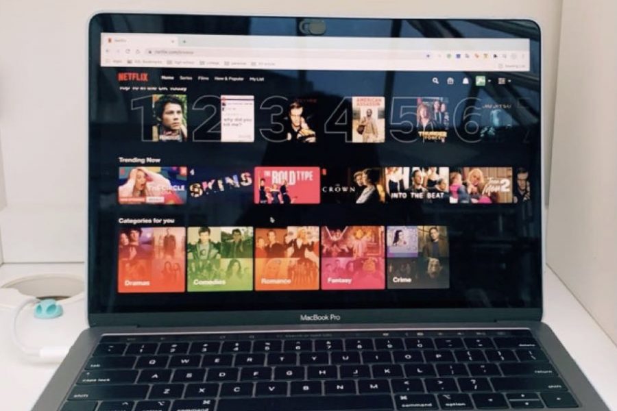 Netflix, the popular streaming platform, offers a variety of programs from a variety of genres. Whether it be documentaries, comedies or action-adventure, Lead Culture Editor Grace Hamilton shares lesser-known Netflix programs. 