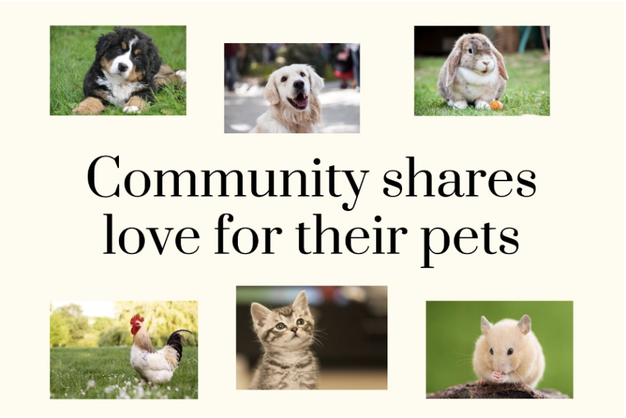 Pets – whether dogs, cats or goats – can provide a sense of comfort for many in their various shapes and forms. Students and faculty share stories about their pets, from the origin of their names to their favorite hobbies. 